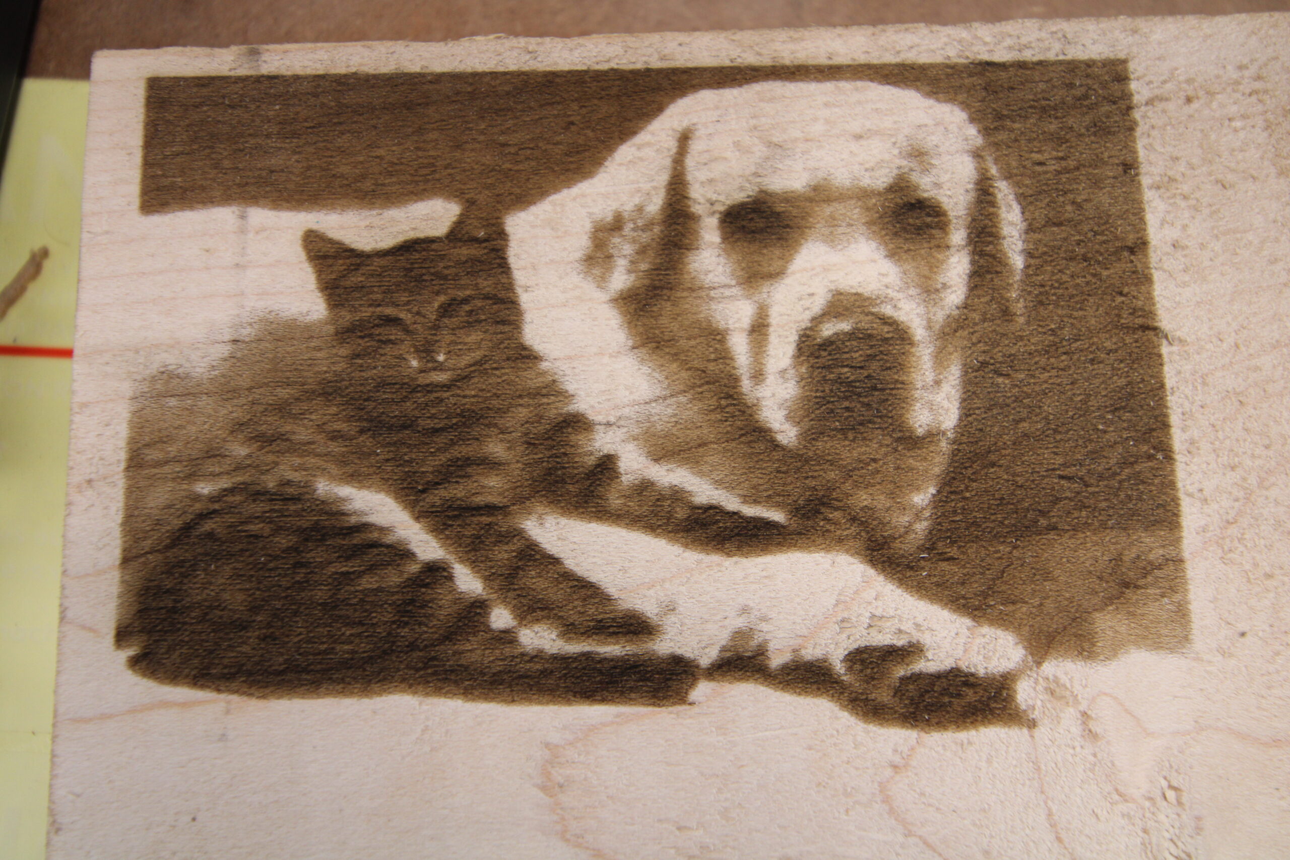 Laser engraved picture of dog and cat on Maple.